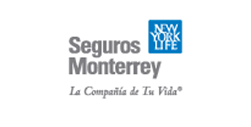 seguros-monterrey_marca
